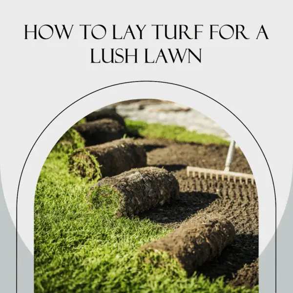 How to lay turf